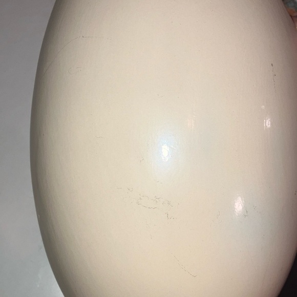 Cream Ceramic Egg Vase - large dinosaur egg shape - Picture 8 of 9